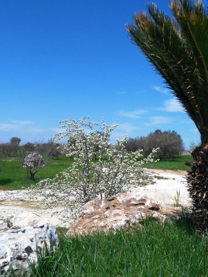 Trulli Pietra Preziosa Hotel Martina Franca Kültér fotó