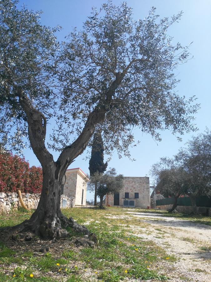 Trulli Pietra Preziosa Hotel Martina Franca Kültér fotó